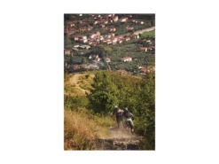 ABUS Casque MoDrop VTT Iced Mint -BMC || GOBIK || COLNAGO Soldes abus casque modrop vtt iced mint 12