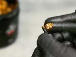 MUC-OFF Copper Compound Graisse Cuivre Anti-corrosion - Pot De 450gr -BMC || GOBIK || COLNAGO Soldes muc off copper compound graisse cuivre anti corrosion pot de 450gr 2